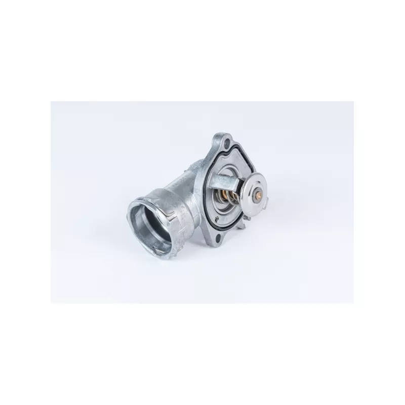 Thermostat d'eau WAHLER 4490.87D - Visuel 1