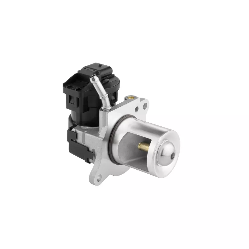 Vanne EGR WAHLER 710095D/1 - Visuel 1