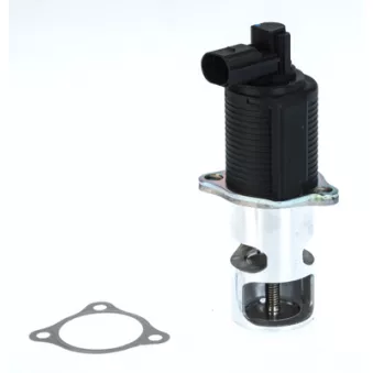 Vanne EGR WAHLER 710776D/1 pour PEUGEOT EXPERT 2.2 DCI - 150cv