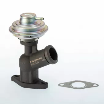Vanne EGR WAHLER 710922D pour FIAT ULYSSE 2.0 JTD - 107cv