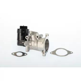 Vanne EGR WAHLER OEM 1231964