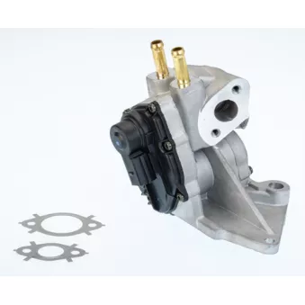 Vanne EGR WAHLER [710937D]