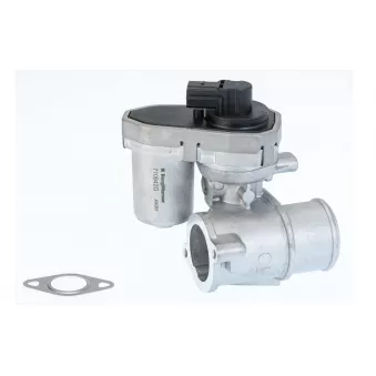 Vanne EGR WAHLER OEM C2S51293
