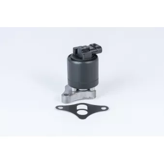 Vanne EGR WAHLER OEM 17098055