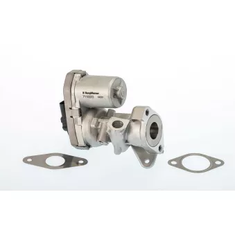 Vanne EGR WAHLER OEM 1618HQ