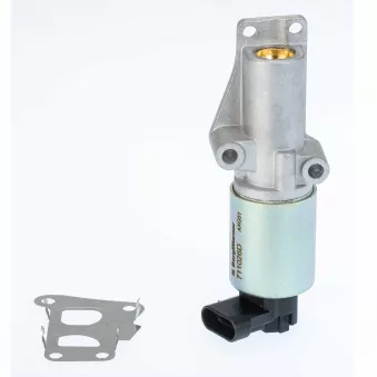 Vanne EGR WAHLER OEM 24445720