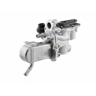 Module-EGR WAHLER OEM 147106293R