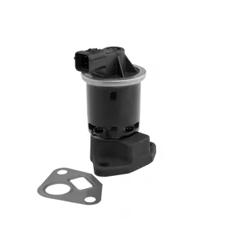 Vanne EGR WAHLER OEM 96253548