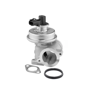 Vanne EGR WAHLER OEM 1417557