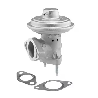 Vanne EGR WAHLER OEM 1127240