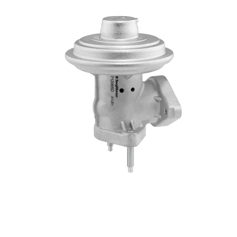 Vanne EGR WAHLER 712065D - Visuel 1