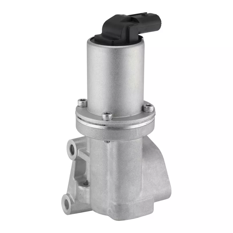 Vanne EGR WAHLER 712068D - Visuel 1