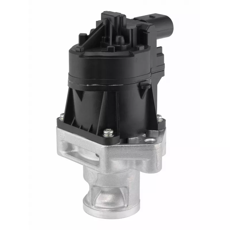 Vanne EGR WAHLER 712075D - Visuel 1