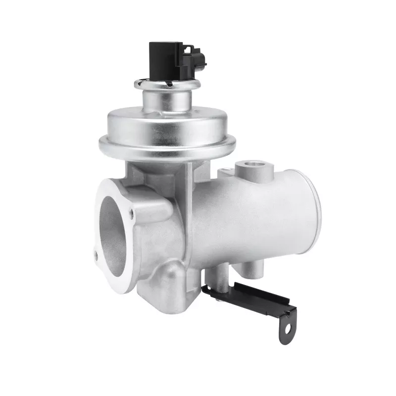 Vanne EGR WAHLER 712080D - Visuel 1