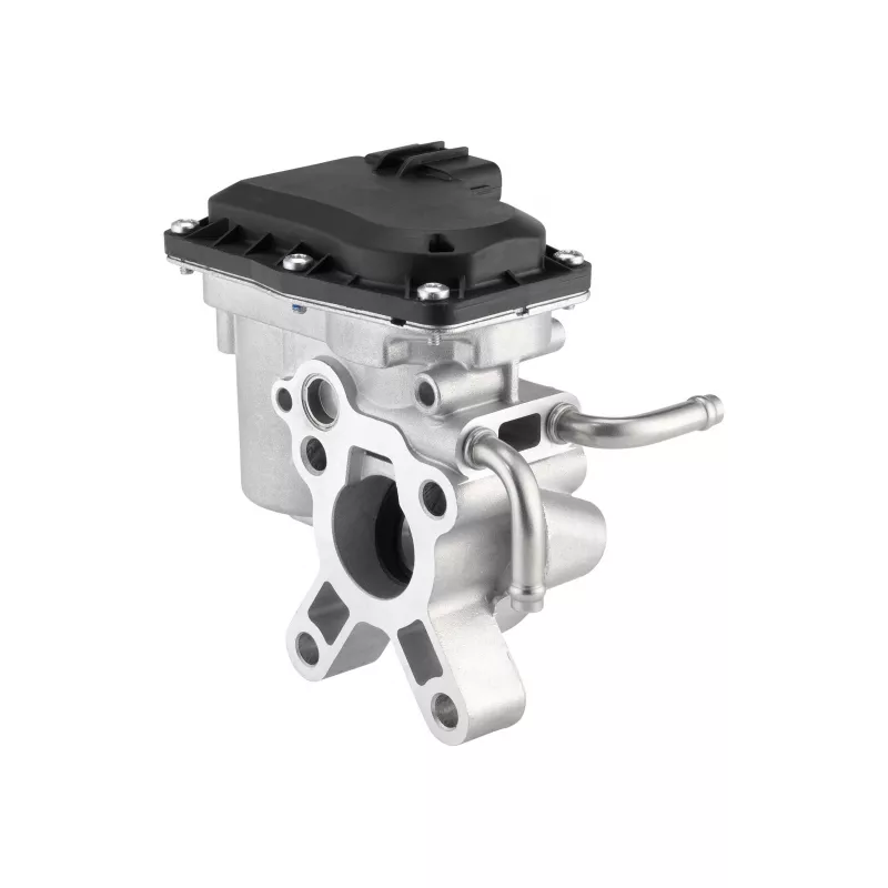 Vanne EGR WAHLER 712087D - Visuel 1