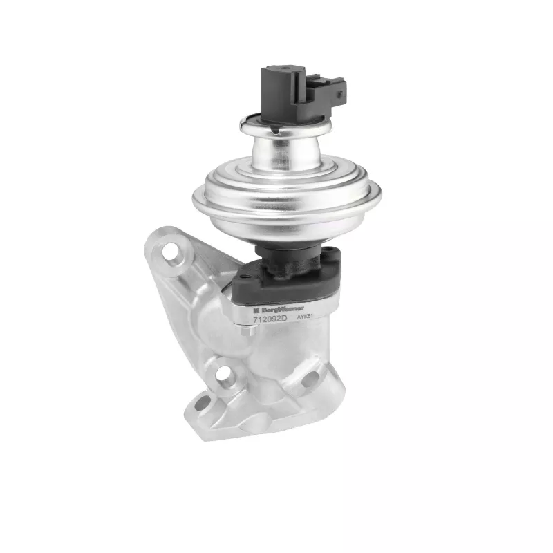 Vanne EGR WAHLER 712092D - Visuel 1