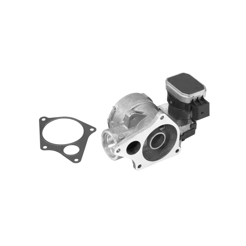 Vanne EGR WAHLER 7256D - Visuel 1