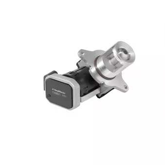 Vanne EGR WAHLER OEM 6461400760