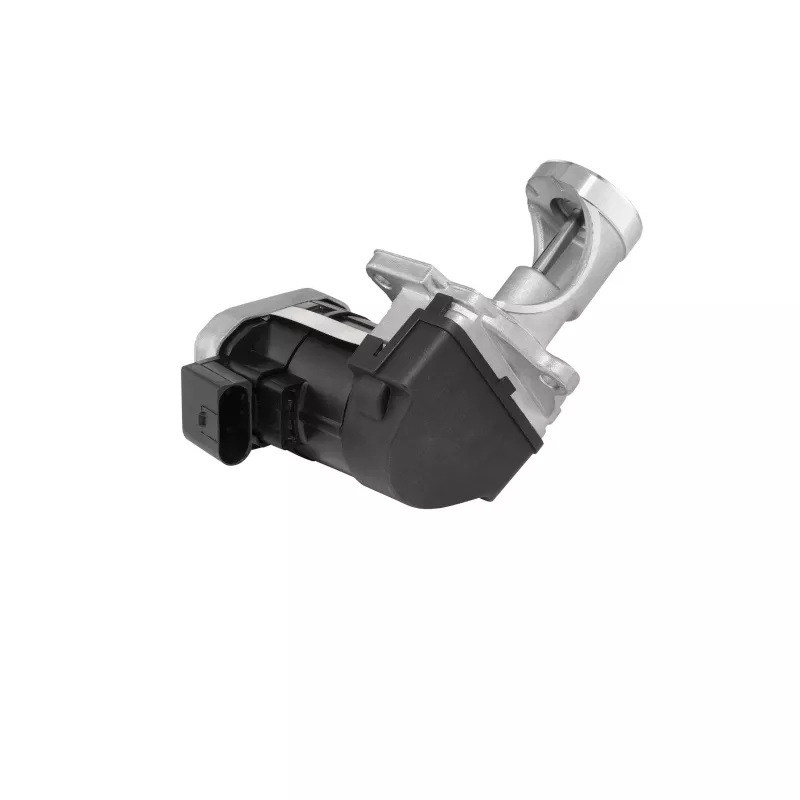 Vanne EGR WAHLER 7529D - Visuel 1