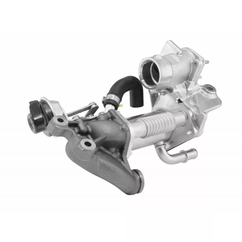 Module de refroidissement WAHLER 790965D - Visuel 1