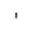 BOSCH 0 280 155 823 - Injecteur