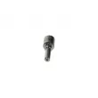 BOSCH 0 433 171 755 - Buse/Gicleur/Injecteur