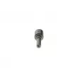 BOSCH 0 433 175 250 - Buse/Gicleur/Injecteur