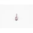 BOSCH 0 433 175 342 - Buse/Gicleur/Injecteur