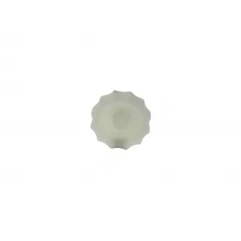 Boulon BOSCH OEM 243463