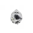 BOSCH 1 986 A00 748 - Alternateur