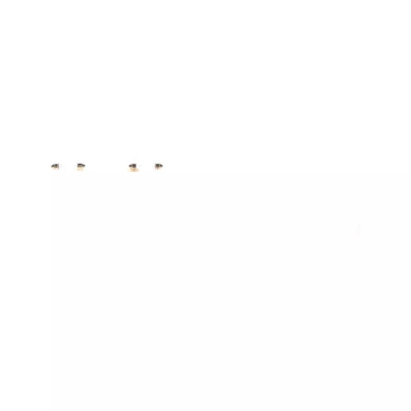 Ampoule BOSCH 1 987 301 014 - Visuel 2