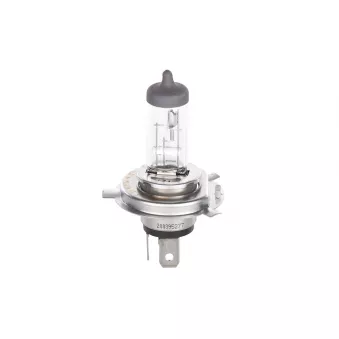 Ampoule BOSCH 1 987 301 054