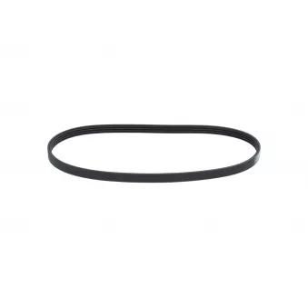 Courroie trapézoïdale à nervures BOSCH OEM 9514152R10