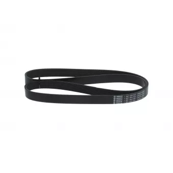 Courroie trapézoïdale à nervures BOSCH OEM 31110RZ0G01