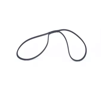 Courroie trapézoïdale à nervures BOSCH OEM 1195065F12