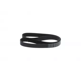 Courroie trapézoïdale à nervures BOSCH OEM 117205678R
