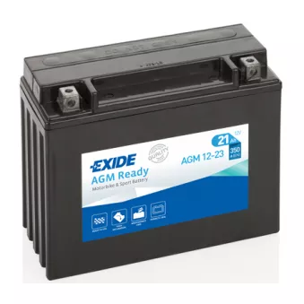 Batterie de démarrage EXIDE AGM12-23