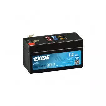 Batterie d'alimentation EXIDE OEM N000000004039