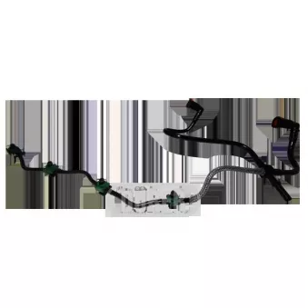 Tuyau, carburant de fuite DÜRER OEM 1574L4