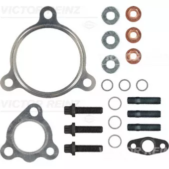 Kit de montage, turbo VICTOR REINZ [04-10198-01]