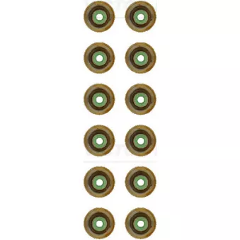 Jeu de joints d'étanchéité, tige de soupape VICTOR REINZ 12-17787-02 pour JAGUAR E-PACE 1.5 P160 MHEV - 160cv
