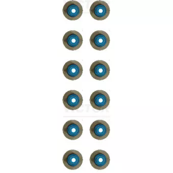 Jeu de joints d'étanchéité, tige de soupape VICTOR REINZ 12-18427-01 pour FIAT ULYSSE 1.5 CRDI - 105cv