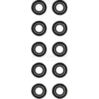 Jeu de joints d'étanchéité, tige de soupape VICTOR REINZ 12-20315-04