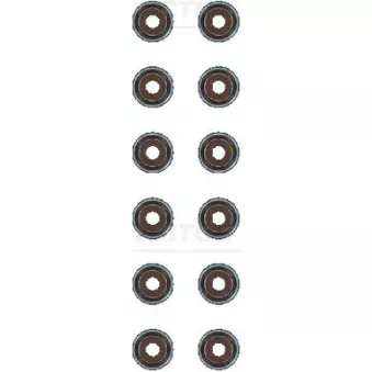 Jeu de joints d'étanchéité, tige de soupape VICTOR REINZ 12-21170-01