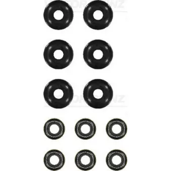 Jeu de joints d'étanchéité, tige de soupape VICTOR REINZ 12-21569-03