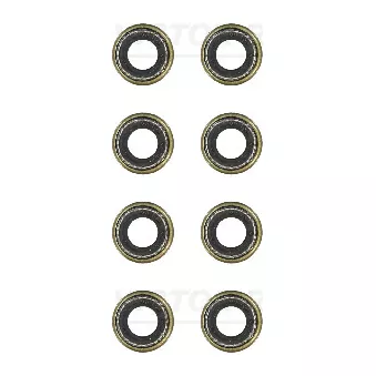 Jeu de joints d'étanchéité, tige de soupape VICTOR REINZ 12-25824-02