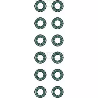 Jeu de joints d'étanchéité, tige de soupape VICTOR REINZ 12-31052-01