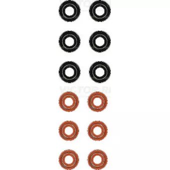 Jeu de joints d'étanchéité, tige de soupape VICTOR REINZ 12-35448-02