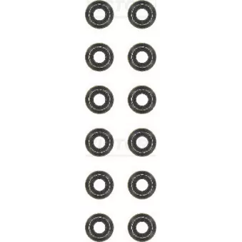 Jeu de joints d'étanchéité, tige de soupape VICTOR REINZ 12-36082-01