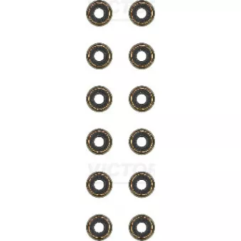 Jeu de joints d'étanchéité, tige de soupape VICTOR REINZ 12-42742-01